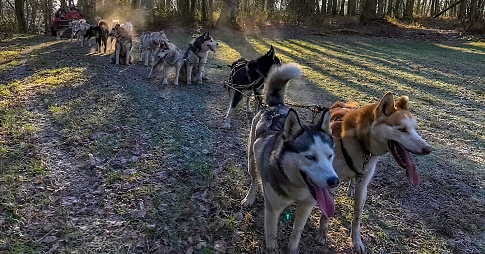 Winter Adventure with Huskin’ Creuse