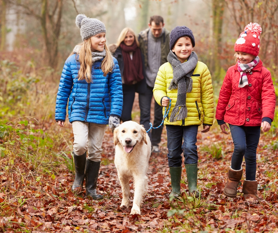 Family wrapped up warm with their golden retreiver for an autumn walk in the woods