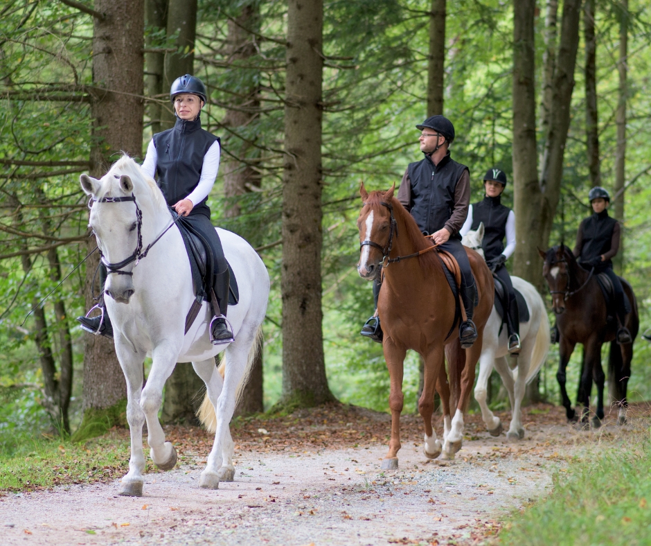 Horseride through the countryside